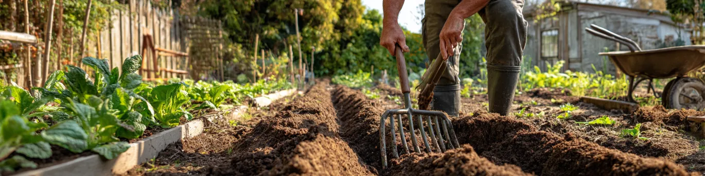 Terrassement réussi : Outils et techniques pour préparer votre sol !